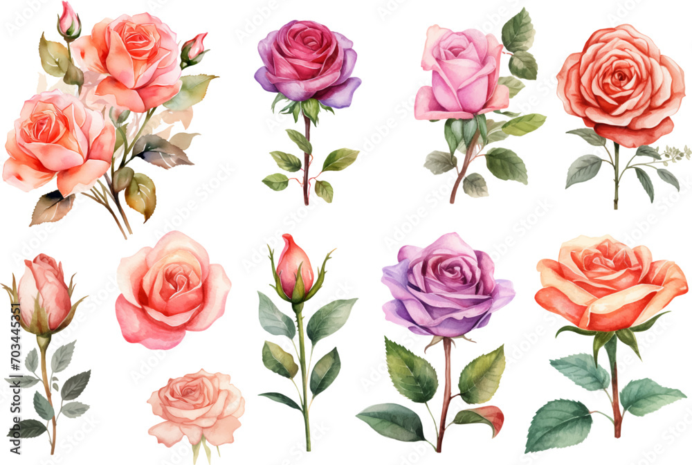 watercolor rose flower set watercolor rose flower set