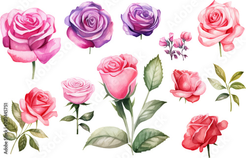 watercolor rose flower set © Abu