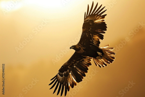 A golden eagle soars through the sky, its wings spread wide © Venka