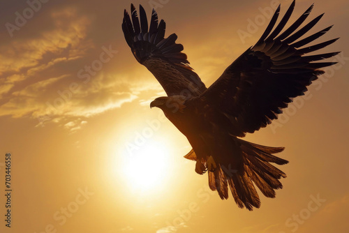 A golden eagle soars through the sky, its wings spread wide © Veniamin Kraskov