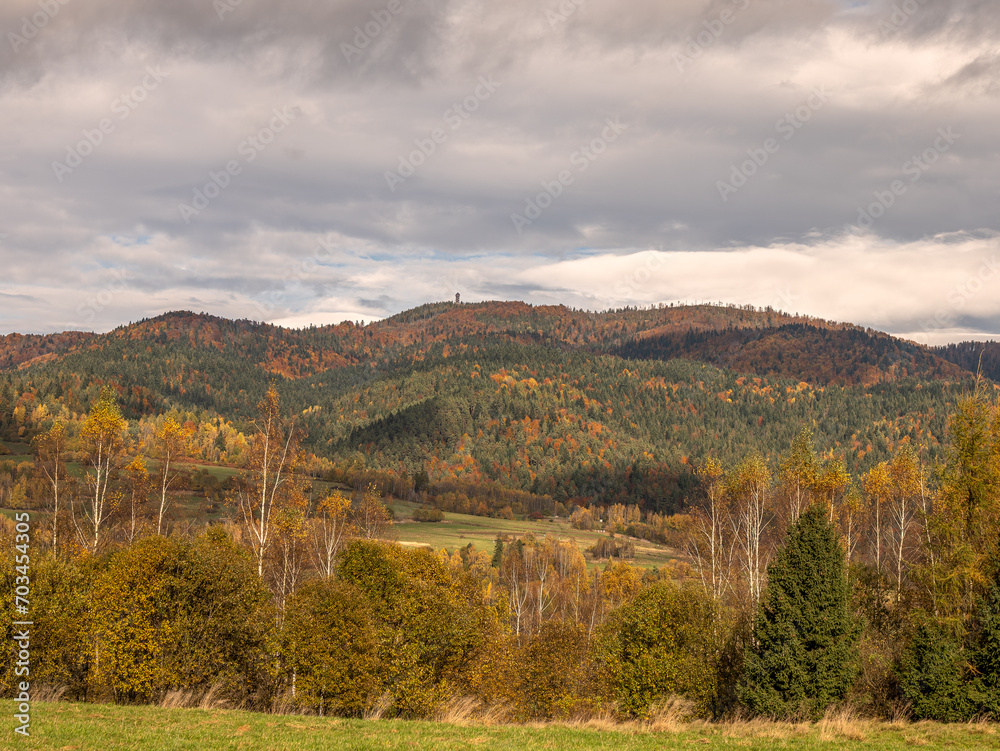 view of mountains with forest in autumn