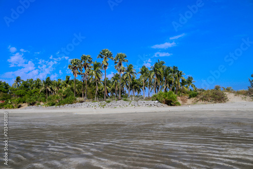 Palm Paradise, Relaxing on the Beaches of Narikel Jinjira, Saint Martin Island, Teknaf, Bangladesh