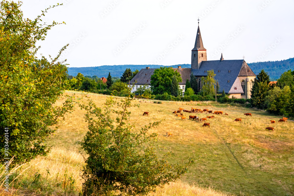 Sauerland panorama with cattle grazing on a pasture of “Kloster Oelinghausen“ historic monastery near Arnsberg, Germany. Idyllic ancient landscape and medieval monument. Rural summer atmosphere.