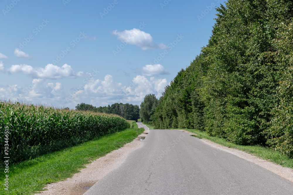 paved road in sunny weather
