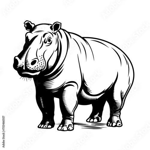 Playful Hippopotamus Vector