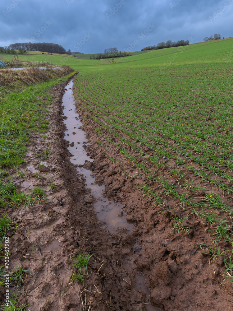 Starker Regen überflutet die Felder, Wasser steht auf Feld