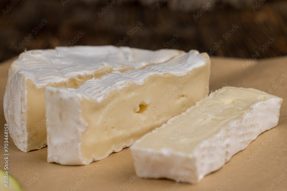 soft processed cheese with white mold on the table