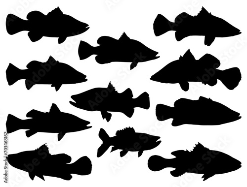 Barramundi fish silhouette vector art white background