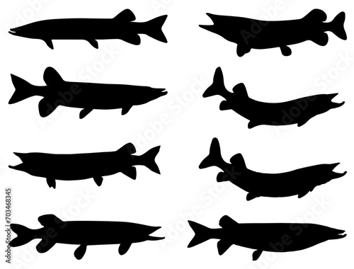 Muskellunge fish silhouette vector art photo