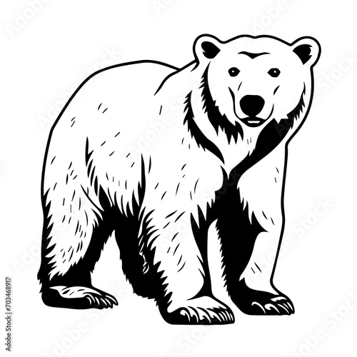 Majestic Polar Bear Vector Illustration © Mateusz