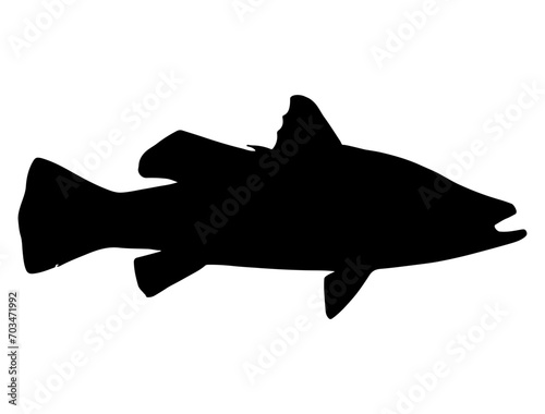 Barramundi fish silhouette vector art white background
