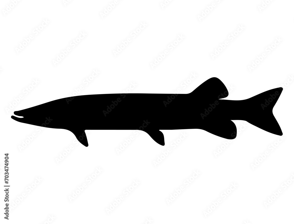 Muskellunge fish silhouette vector art white background