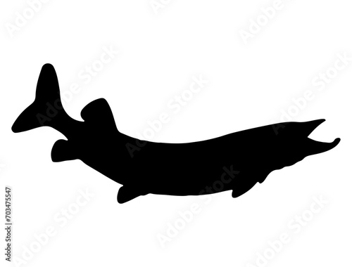 Muskellunge fish silhouette vector art white background photo