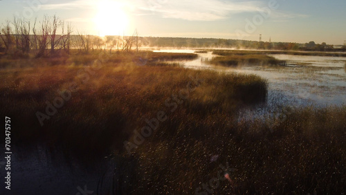 Colorful fog over the lake in autumn at dawn