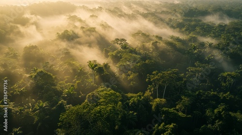 Whispers of Dawn  Mist-Cloaked Amazon Canopy