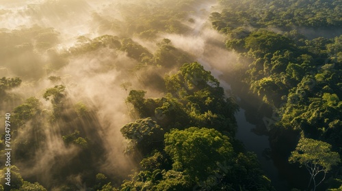 Morning Tranquility: Aerial Amazon Mist Wonders