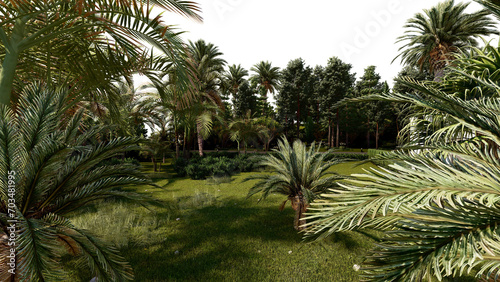 Tropical garden  PNG transparent backdrop  3D rendering