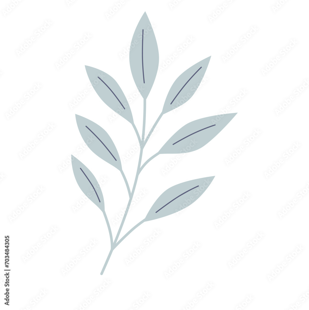  Foliage, plant, green herb. Abstract leaf element on white background. 
