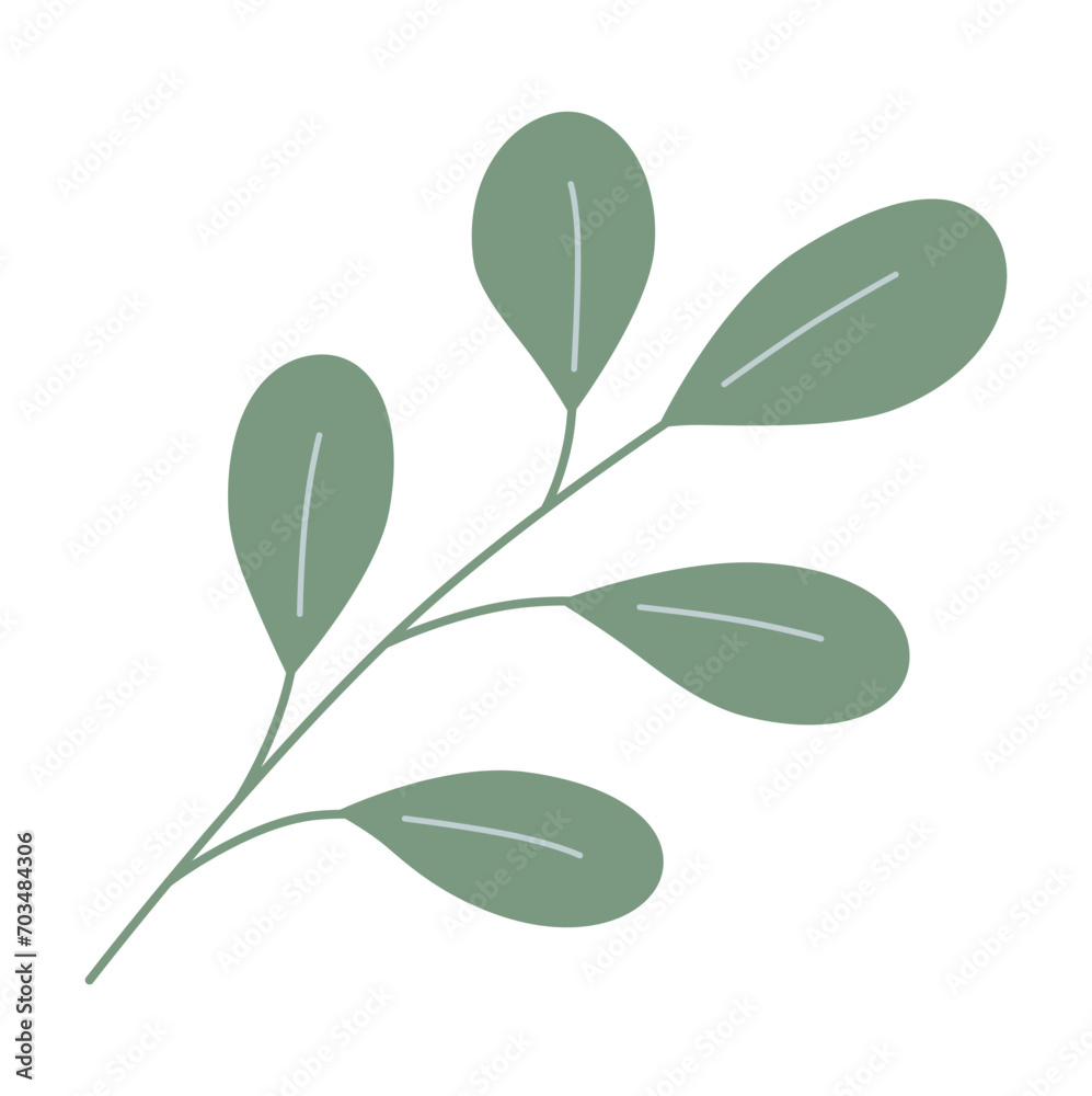 Foliage, plant, green herb. Abstract leaf element on white background. Foliage, plant, green herb. Abstract leaf element on white background.