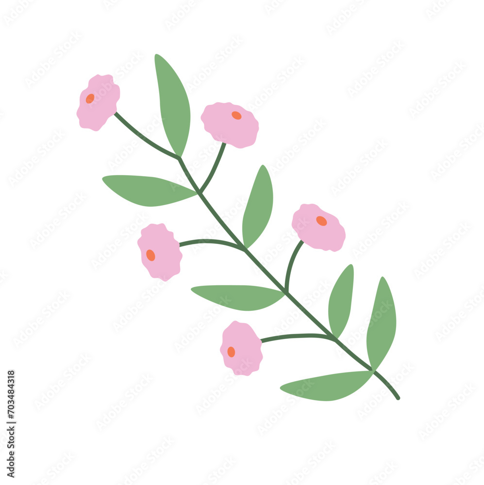Summer and spring flora, plant and herb with petal, leaf. Cute modern flower. Blossomed flower element on white background. 