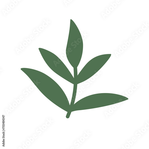 Foliage  plant  green herb. Abstract leaf element on white background. 