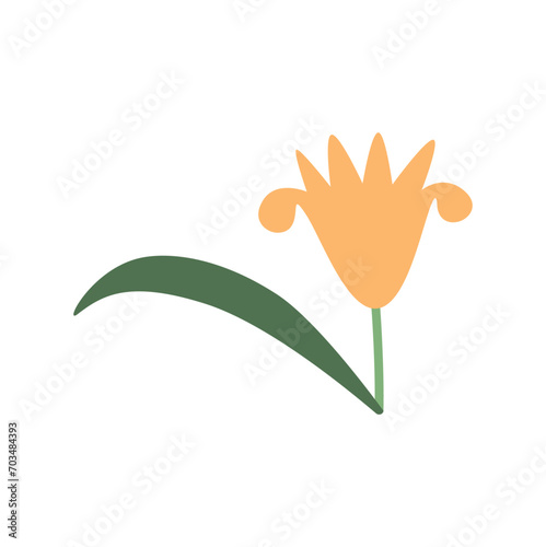 Summer and spring flora, plant and herb with petal, leaf. Cute modern flower. Blossomed flower element on white background. 