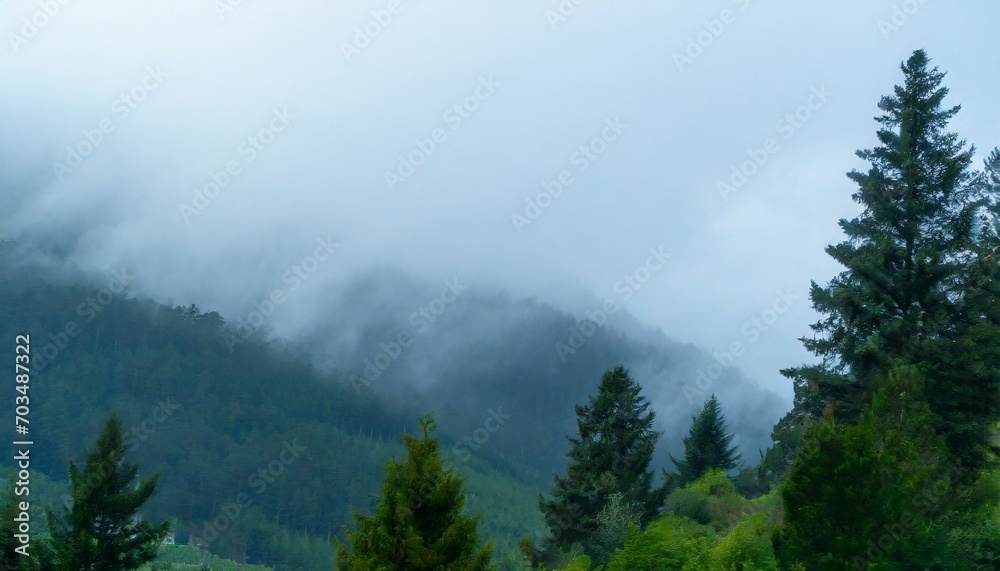 dark fog and mist over a moody forest landscape mountain fir trees with dreary dreamy weather blues and greens