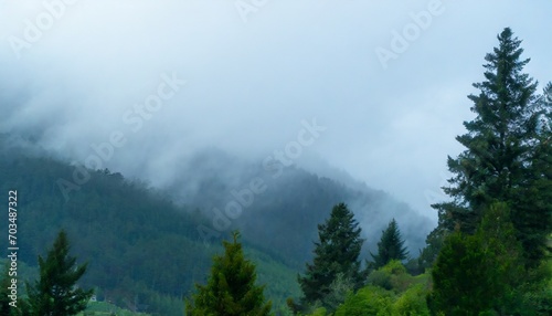 dark fog and mist over a moody forest landscape mountain fir trees with dreary dreamy weather blues and greens