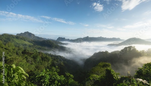 panoramic jungle landscape with mountains and mist rainforest aerial view beautiful fog in the morning © Florence