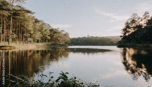 lake in the forest