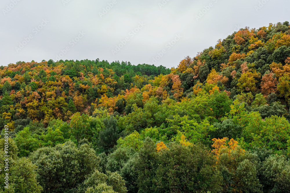 Mountain covered with forest, with autumn colors.
