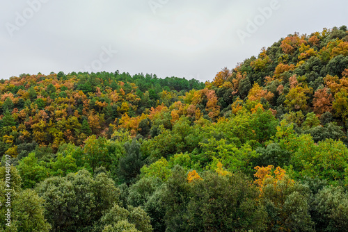 Fototapeta Naklejka Na Ścianę i Meble -  Mountain covered with forest, with autumn colors.
