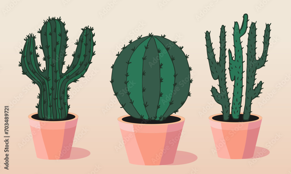 Three cacti. Spiny cacti. Succulents in pots. Plants for the home. Three cacti. Spiny cacti. Succulents in pots. Plants for the home.