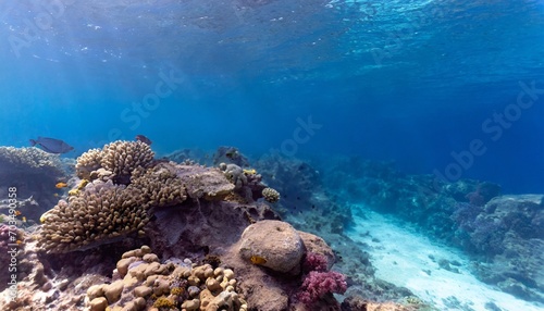 sea deep or ocean underwater with coral reef as a background for