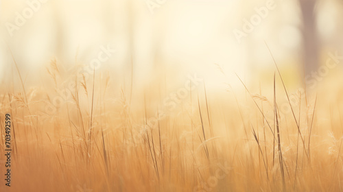 imagen minimalista con plantas en primer plano y fondo desenfocado de un bosque en otoño 