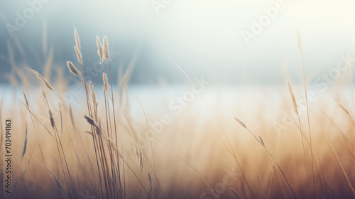 imagen minimalista con plantas  en primer plano y fondo desenfocado de un bosque en otoño  photo