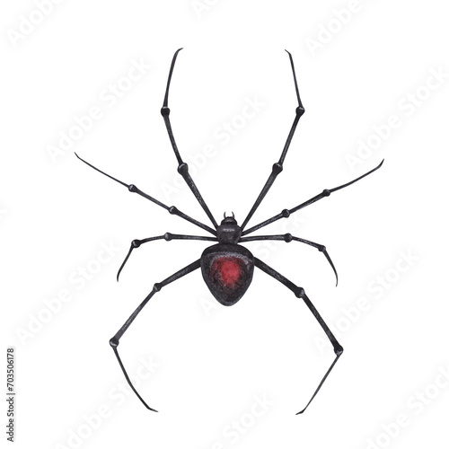 Black spider with cobweb magical texture isolated on white background. Watercolor hand drawn dark fantasy sketch iIllustration. Art design mystical halloween witch decoration, scary greeting card