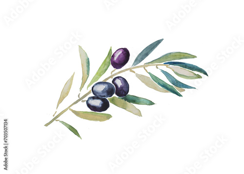 Olives  black olives  olive branch  olive tree  hand painted watercolor illustration  vegetarian food