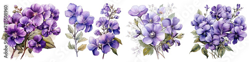 Violet flowers and leaf Hyperrealistic Highly Detailed Isolated On Transparent Background Png File