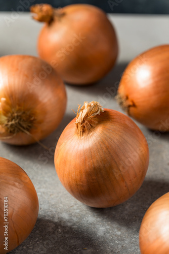 Organic Raw Brown Yellow Onions