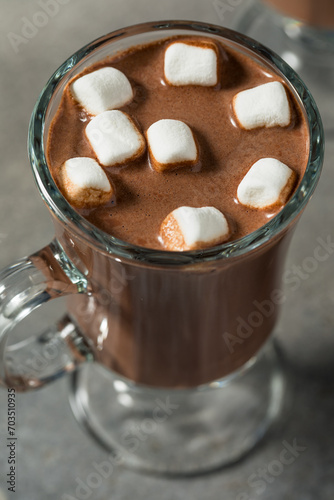 Warm Boozy Hot Cocoa Chocolate in a Mug