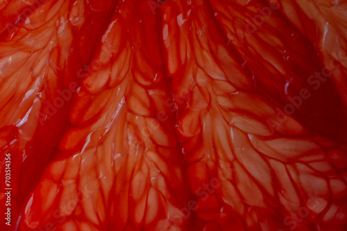 Close up of sliced ripe grapefruit, macro. Red fresh grapefruit surface background or texture photo