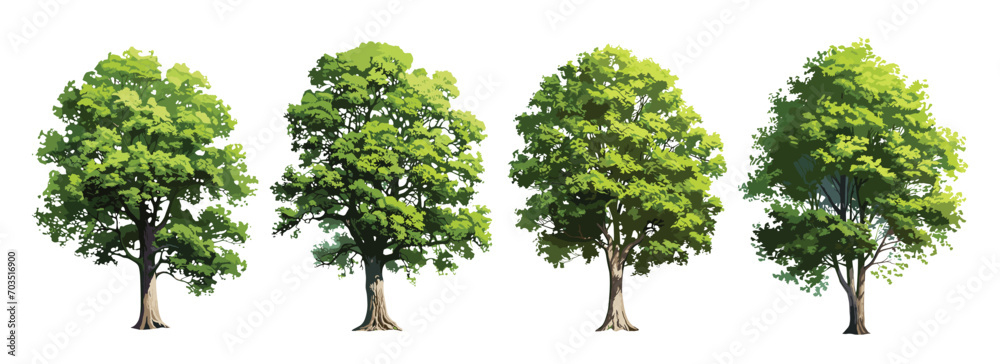 Trees collection set. Green plants with leaves, garden botanical, forest vector isolated on white background - obrazy, fototapety, plakaty 