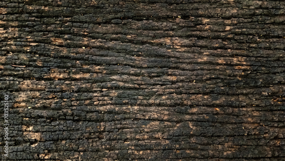 Burn wood texuture. Horizontal of burnt wood texture fissure. Tree bark. Burn wood texuture. Horizontal of burnt wood texture fissure. Tree bark.