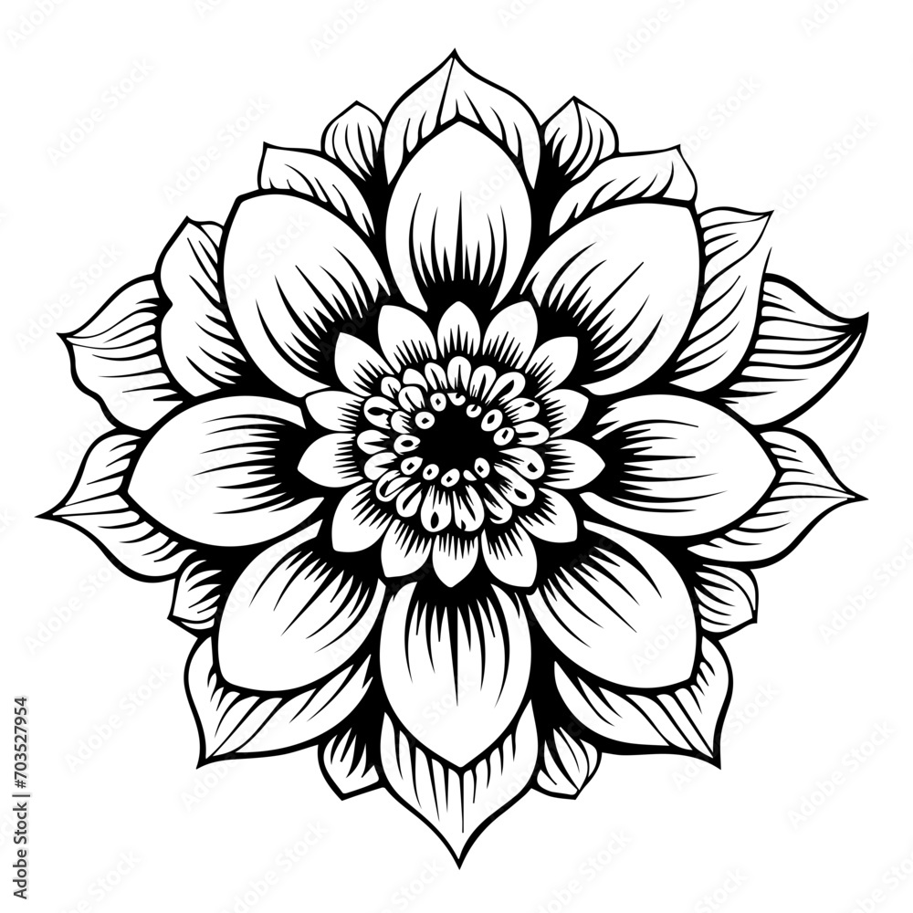Margarita Flower Vector Margarita Flower Vector