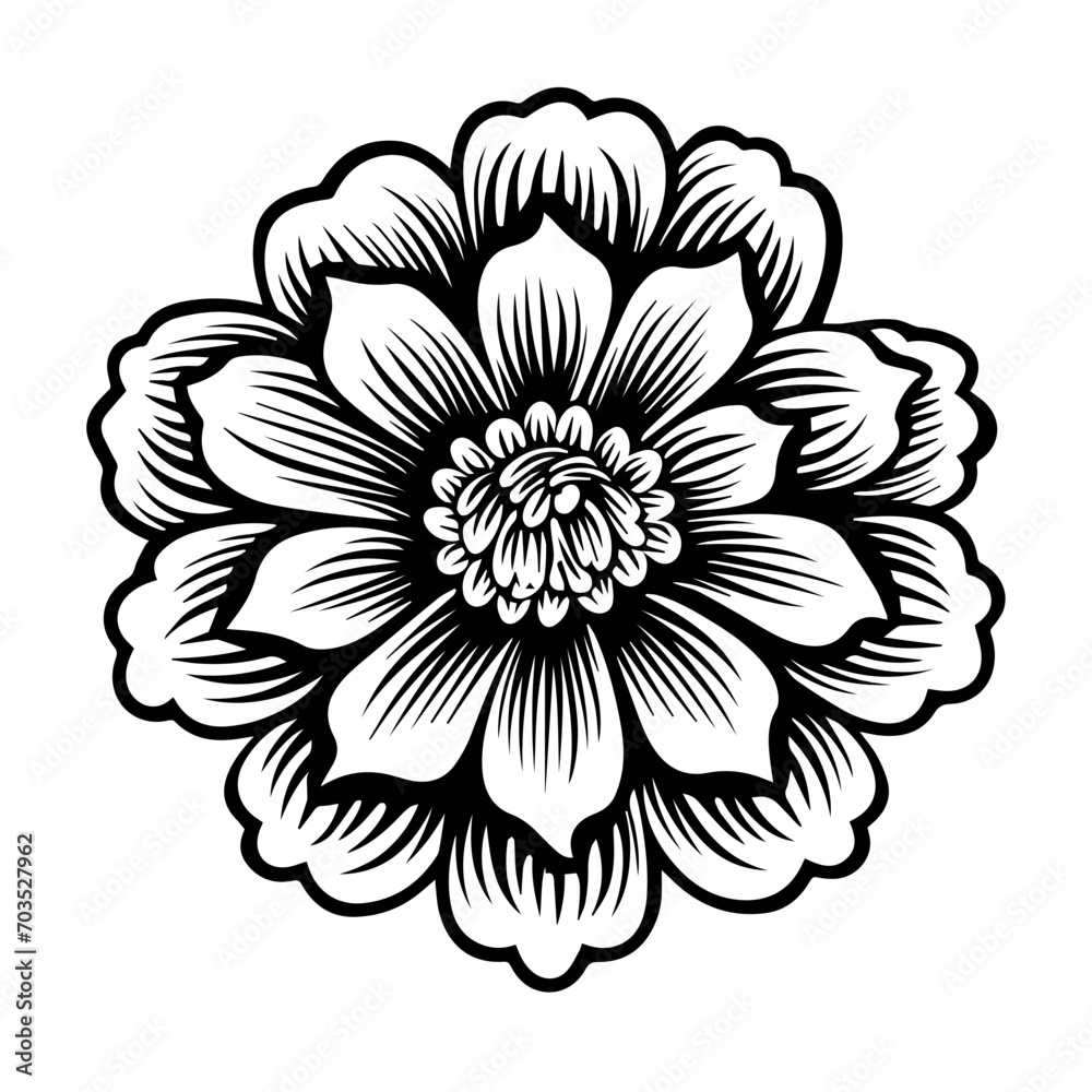 Margarita Flower Vector