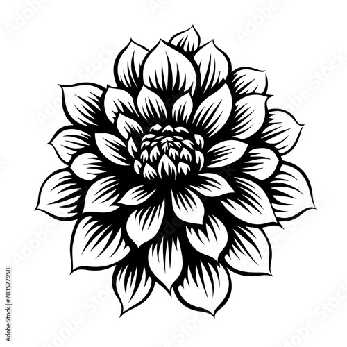 Margarita Flower Vector