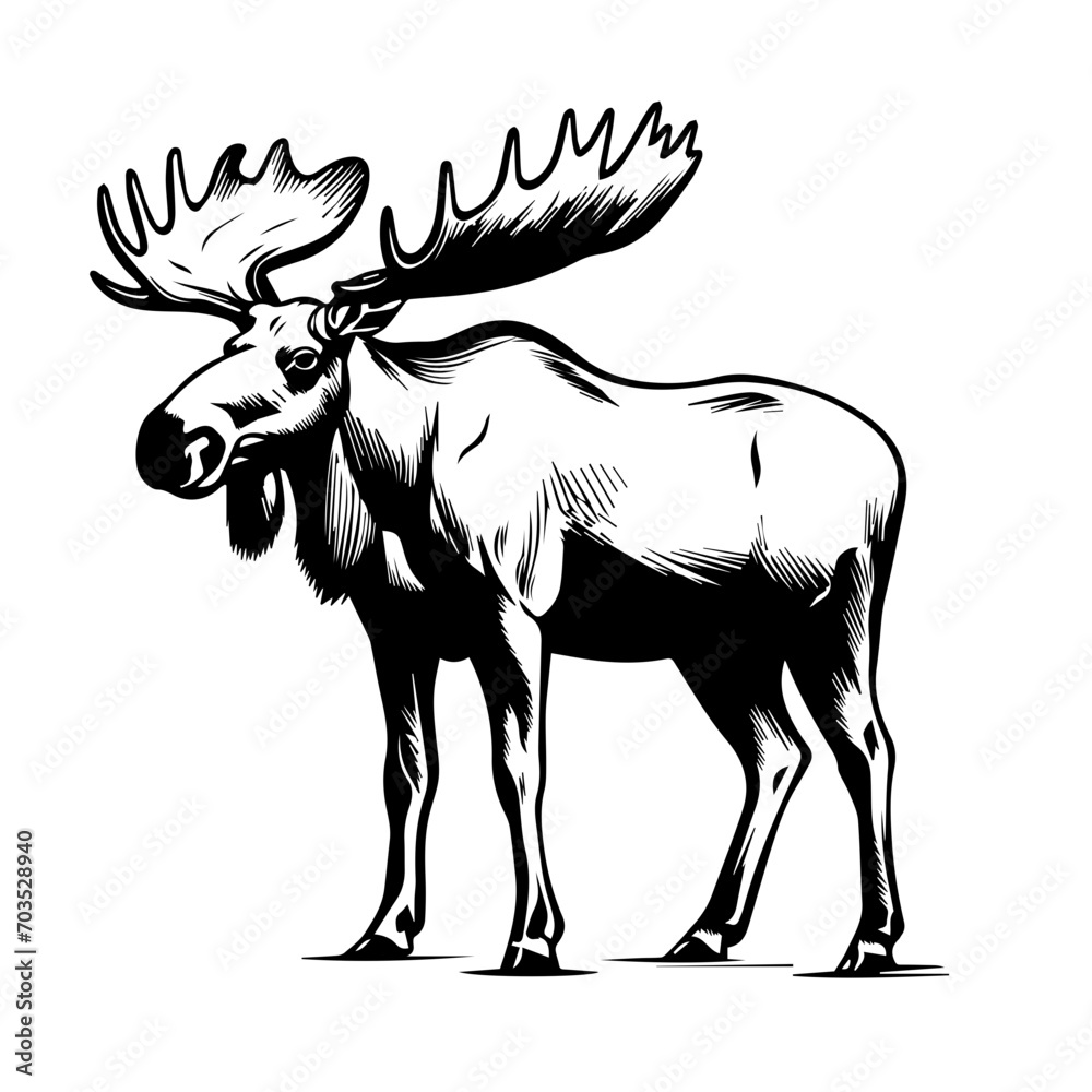 Majestic Moose Vector Art Majestic Moose Vector Art