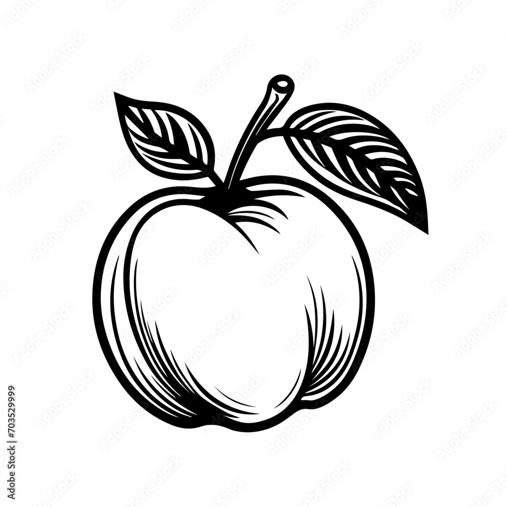 Juicy Peach Fruit Vector Illustration