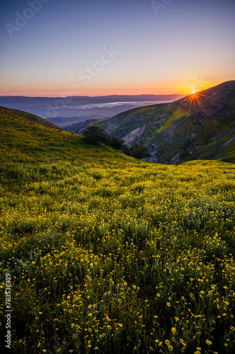 Sunset over Carrizo Plain National Monument during spring bloom